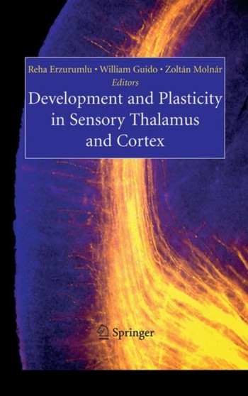 Development and Plasticity in Sensory Thalamus and Cortex by Reha Erzurumlu - Paperback