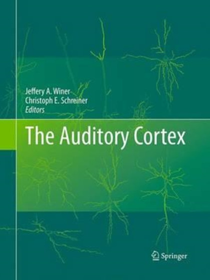 The Auditory Cortex by Jeffery A. Winer - Paperback