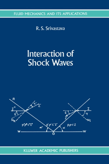 Interaction of Shock Waves : 22 by R.S. Srivastava - Hardback