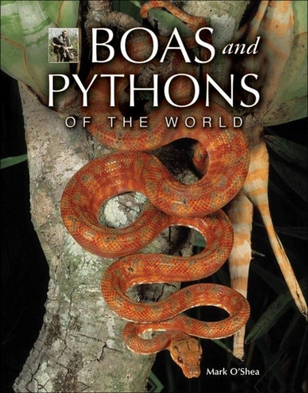 Boas and Pythons of the World by Mark O'Shea - Hardback