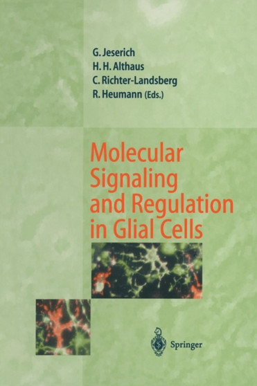 Molecular Signaling and Regulation in Glial Cells : A Key to Remyelination and Functional Repair by Gunnar Jeserich - Paperback