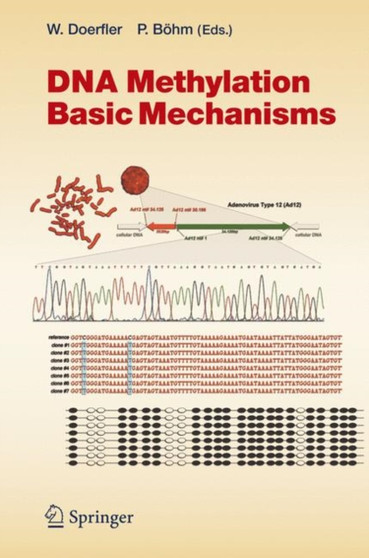 DNA Methylation: Basic Mechanisms : 301 by Walter Doerfler - Paperback