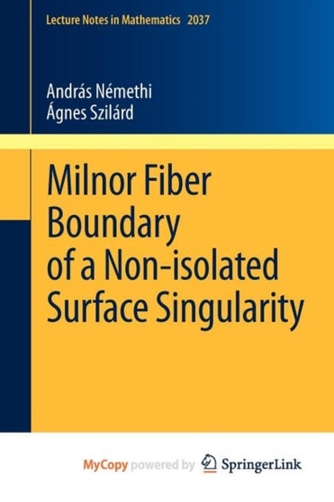 Milnor Fiber Boundary of a Non-isolated Surface Singularity : 2037 by Andras Nemethi - Paperback