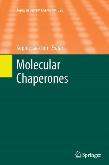Molecular Chaperones : 328 by Sophie Jackson - Paperback