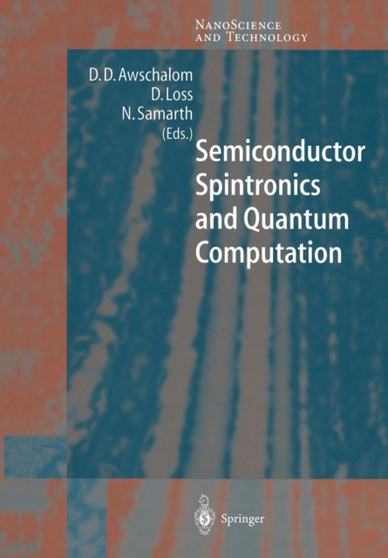 Semiconductor Spintronics and Quantum Computation by D.D. Awschalom - Hardback