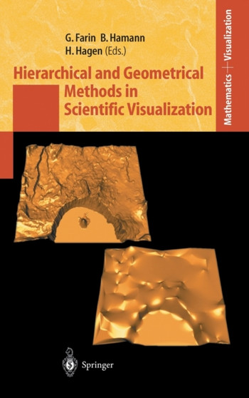 Hierarchical and Geometrical Methods in Scientific Visualization by Gerald Farin - Hardback