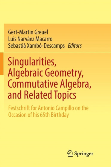 Singularities, Algebraic Geometry, Commutative Algebra, and Related Topics : Festschrift for Antonio Campillo on the Occasion of his 65th Birthday by Gert-Martin Greuel - Paperback