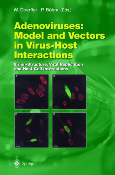 Adenoviruses: Model and Vectors in Virus-Host Interactions : Virion-Structure, Viral Replication and Host-Cell Interactions : 272 by Walter Doerfler - Hardback