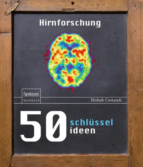 50 Schlusselideen Hirnforschung by Moheb Costandi - Hardback