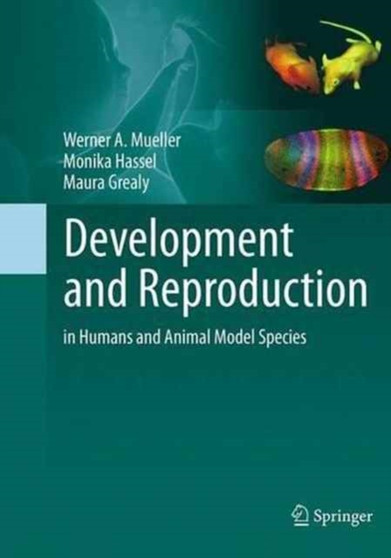 Development and Reproduction in Humans and Animal Model Species by Werner A. Mueller - Paperback