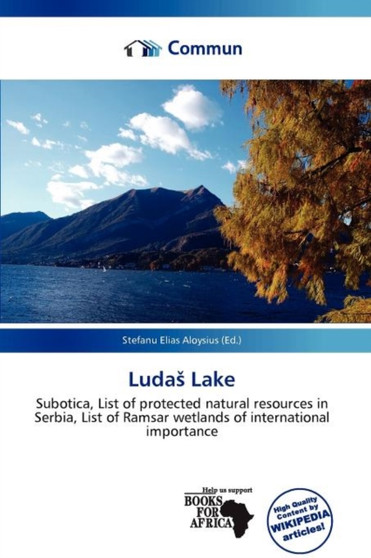Luda Lake by Stefanu Elias Aloysius - Paperback