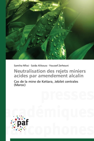 Neutralisation Des Rejets Miniers Acides Par Amendement Alcalin by Collectif - Paperback