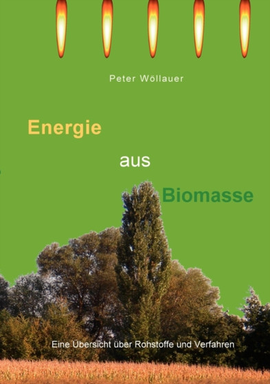 Energie aus Biomasse : Eine UEbersicht uber Rohstoffe und Verfahren by Peter Woellauer - Paperback