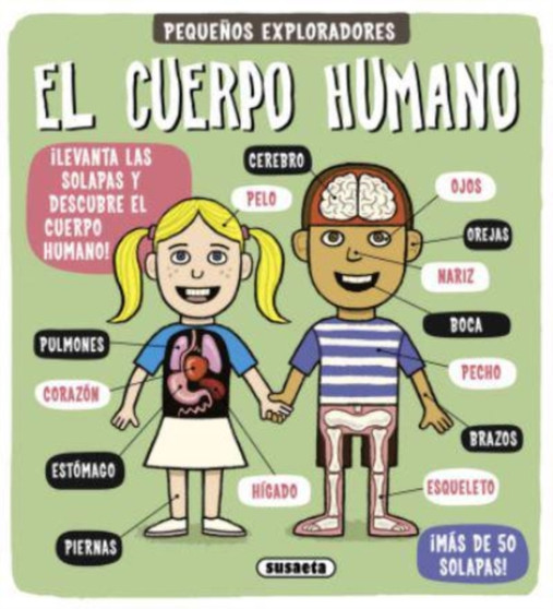 El cuerpo humano by Allan Sanders - Hardback
