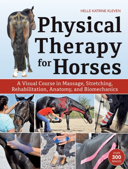 Physical Therapy for Horses : A Visual Course in Massage, Stretching, Rehabilitation, Anatomy, and Biomechanics by Helle Katrine Kleven - Hardback