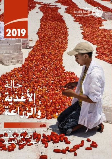 The State of Food and Agriculture 2019 (Arabic Edition) : Moving Forward on Food Loss and Waste Reduction by Food and Agriculture Organization of the United Nations - Paperback