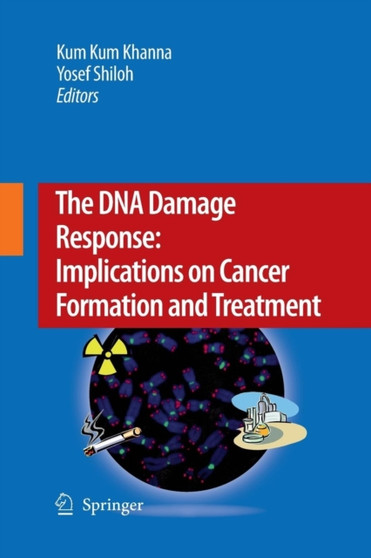 The DNA Damage Response: Implications on Cancer Formation and Treatment by Kum Kum Khanna - Paperback