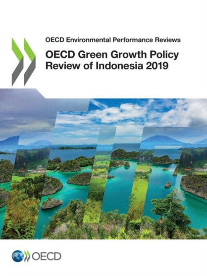 Indonesia 2019 by Organisation for Economic Co-operation and Development - Paperback