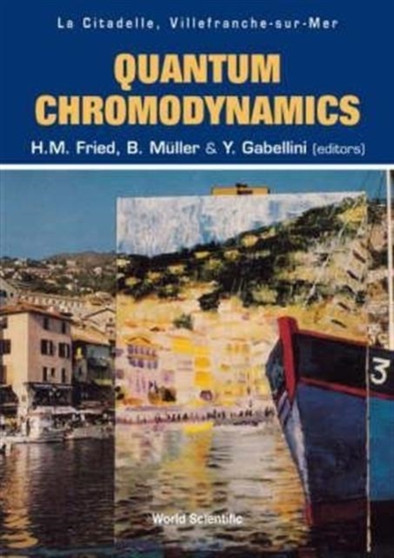 Quantum Chromodynamics - Proceedings Of The Fifth Workshop by Herbert Martin Fried - Hardback