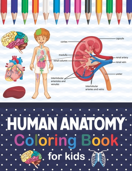 Human Anatomy Coloring Book For Kids : Human Body Anatomy Coloring Book For Kids, Boys and Girls and Medical Students. Human Body Coloring Book For Boys Girls Human Figure Anatomy Coloring Book. Presc by Jarniczell Publication - Paperback