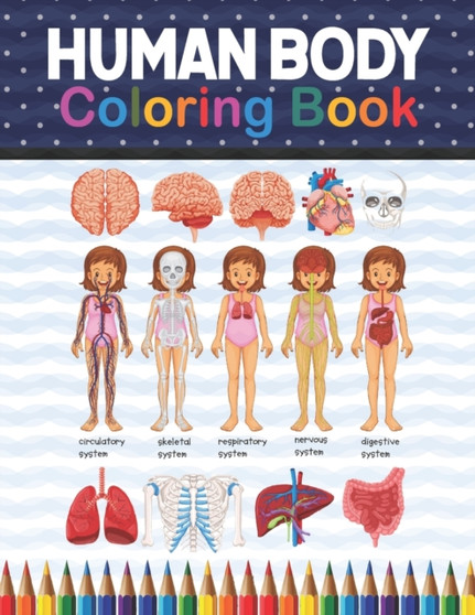 Human Body Coloring Book : Human Body Anatomy Coloring Book For Kids, Boys and Girls and Medical Students. Human Brain Heart Liver Coloring Book. Human Body Activity Book For Kids. Human Anatomy Color by Shirkaylene Publication - Paperback