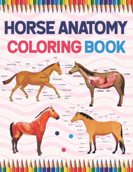 Horse Anatomy Coloring Book : Horse Anatomy and Veterinary Physiology Coloring Book. The New Surprising Magnificent Learning Structure For Veterinary Anatomy Students. Horse Anatomy Student's Self-Tes by Sarkaiylone Publication - Paperback