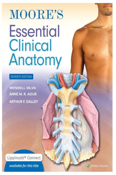 Essential Clinical Anatomy by Silva Wendell Silva - Paperback