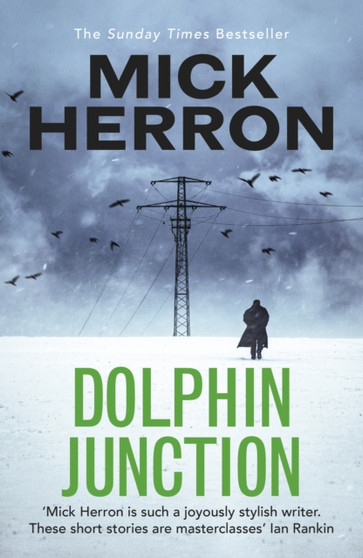 Dolphin Junction by Mick Herron - Paperback