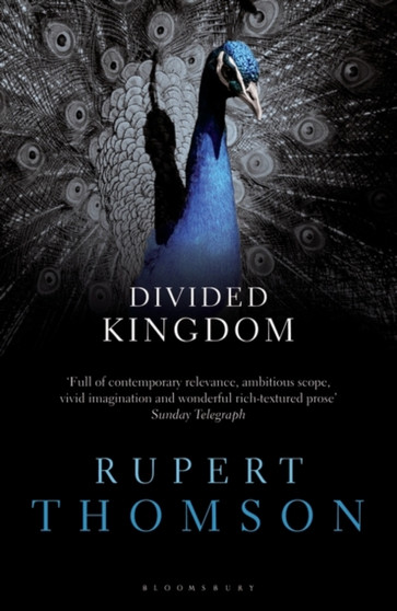 Divided Kingdom by Rupert Thomson - Paperback