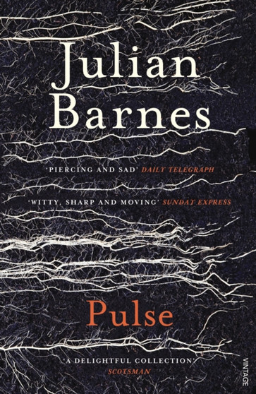 Pulse by Julian Barnes - Paperback