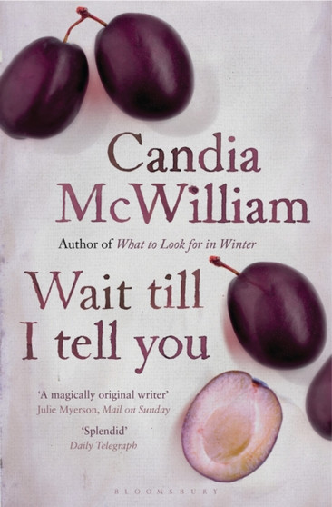 Wait Till I Tell You : reissued by Candia McWilliam - Paperback