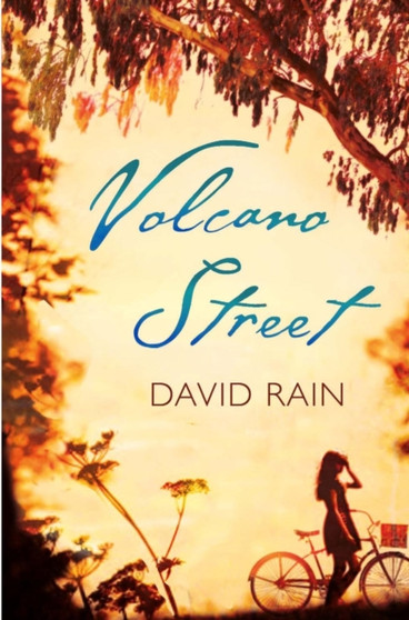 Volcano Street by David Rain - Paperback