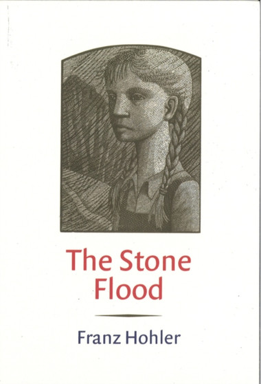 The Stone Flood by Franz Hohler - Paperback