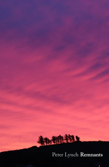 Remnants by Peter Lynch - Paperback