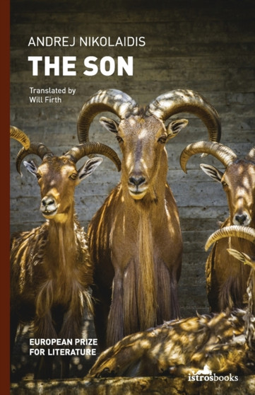Son by Andrej Nikolaidis - Paperback