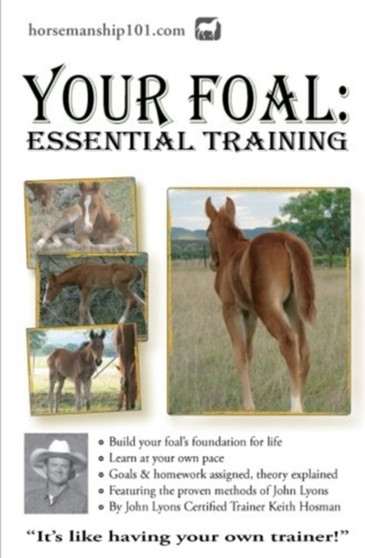 Your Foal : Essential Training : 5 by Keith Hosman - Paperback