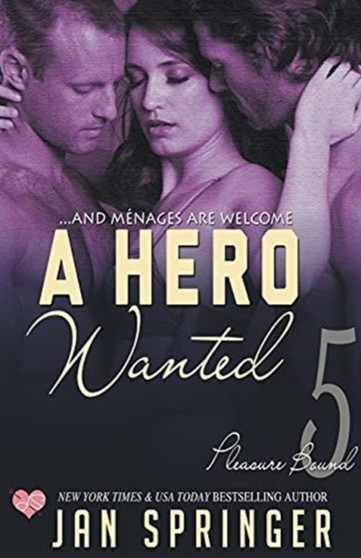 A Hero Wanted by Jan Springer - Paperback