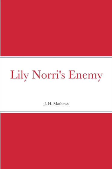 Lily Norri's Enemy by J H Mathews - Paperback