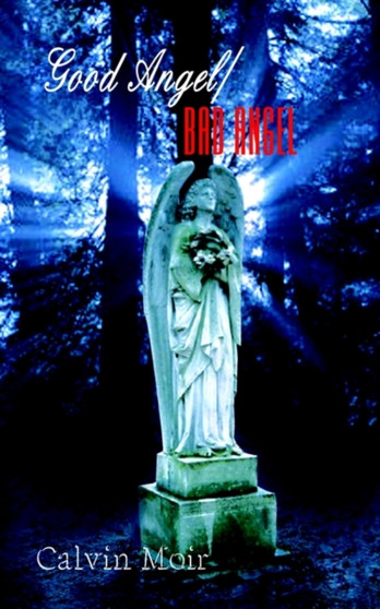 Good Angel/bad Angel by Calvin Moir - Paperback