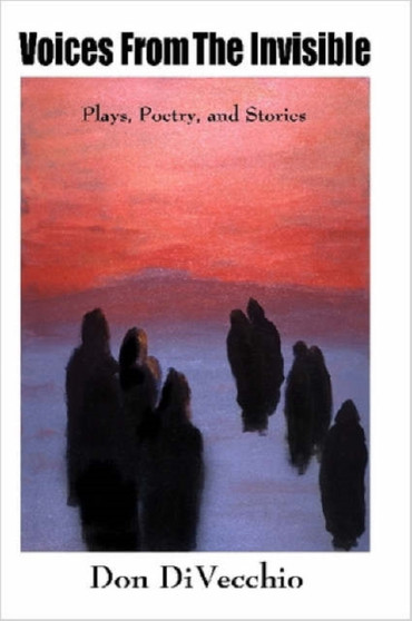 Voices From The Invisible by Don DiVecchio - Paperback