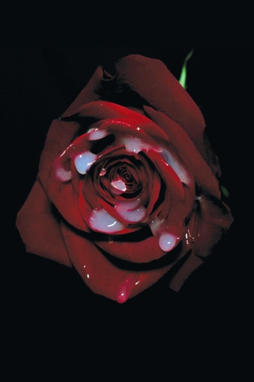 Imaginary Men Love Imaginary Women by Karlos Rene Ayala - Paperback