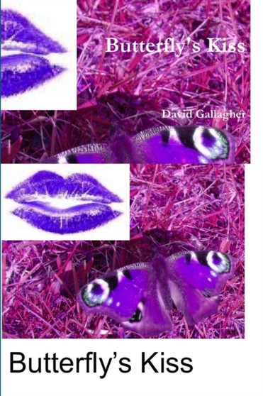 Butterfly's Kiss by David Gallagher - Paperback