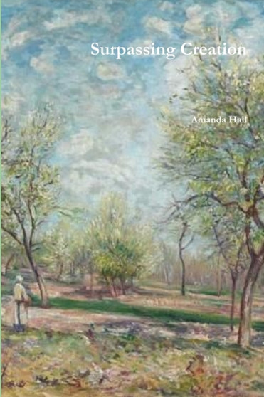 Surpassing Creation by Amanda Hall - Paperback