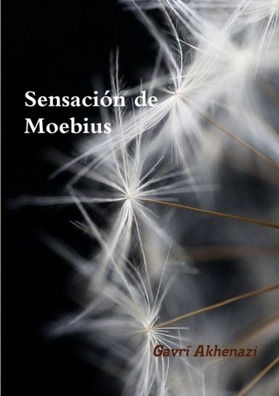 Sensacion De Moebius by Gavri Akhenazi - Paperback