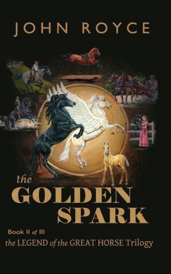 The Golden Spark : 2 by John Allen Royce - Hardback