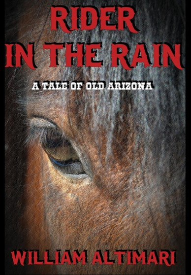 Rider in the Rain by William Altimari - Hardback