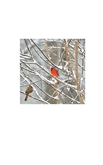 Delivres : Des confines by Francois Lavergne - Paperback