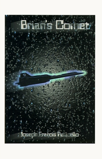 Brian's Comet by Joseph F. Panicello - Paperback