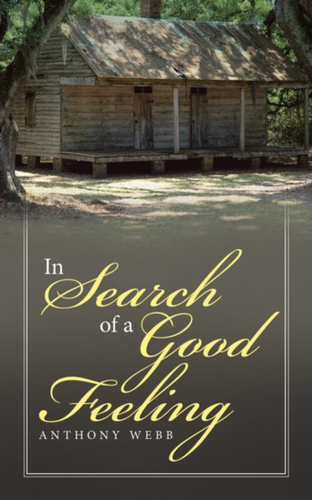 In Search of a Good Feeling by Anthony Webb - Paperback