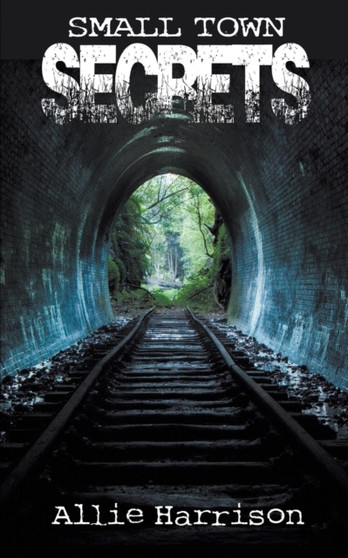 Small Town Secrets : 1 by Allie Harrison - Paperback